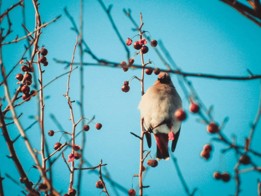 ���������� ����� ������  �� PhotoGeek.ru #����� #�������� ��� #������ ��� �������