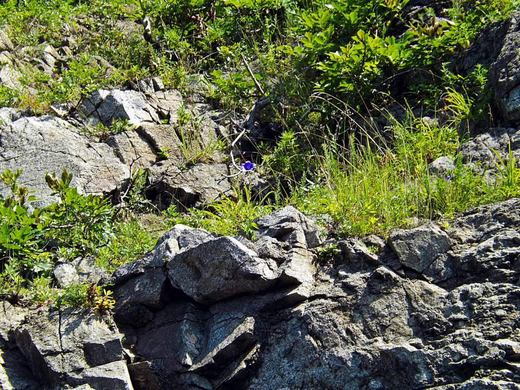 ������ ����� ������  �� PhotoGeek.ru #������ ��� ������� #����� ��������������