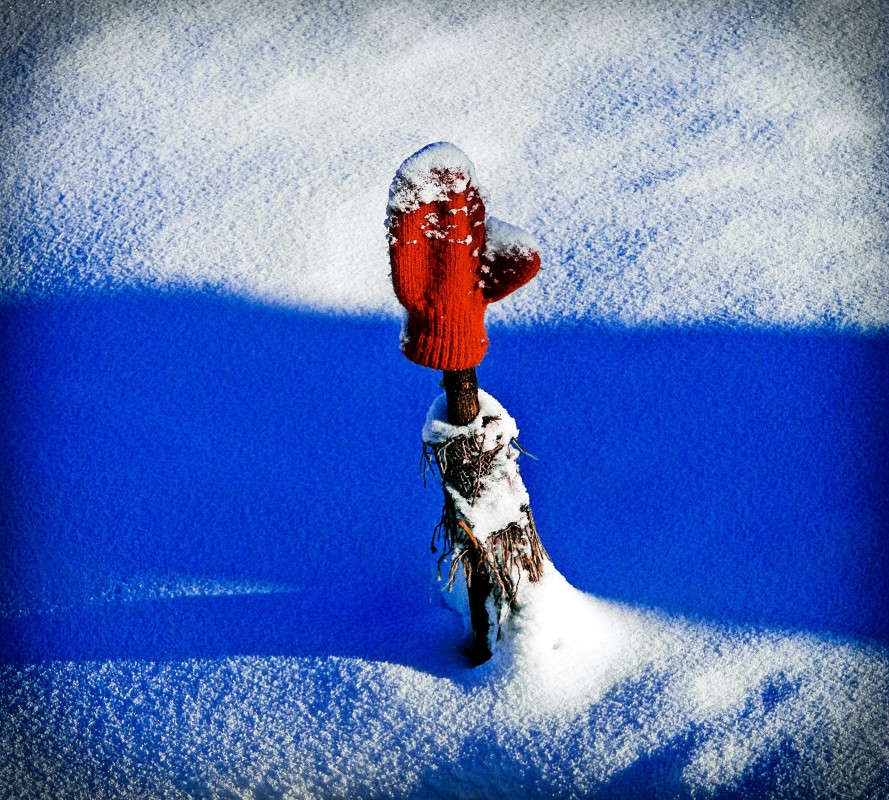 �������� � ���������� ����� ������  �� PhotoGeek.ru #�����