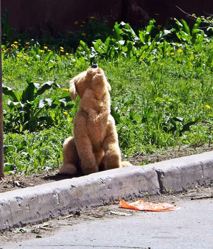 ������ ����� ������  �� PhotoGeek.ru #����� #�����-���