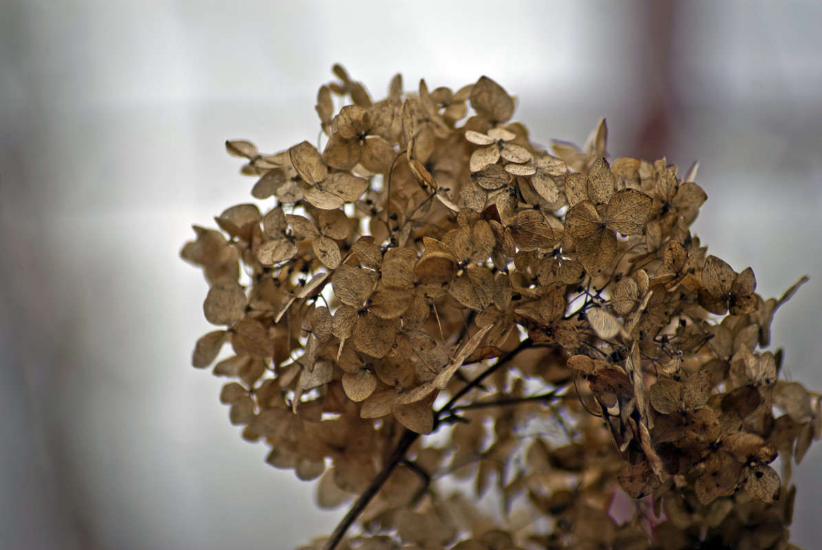 ������ ����� ����� ������� �� PhotoGeek.ru #�����