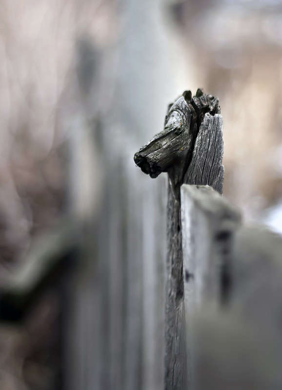 ����� �������� ����� ����� ������� �� PhotoGeek.ru #������ ��� �������