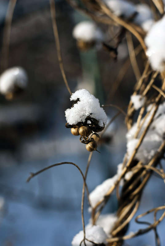 ������� �� ����� ����� ����� ������� �� PhotoGeek.ru #������ ��� �������