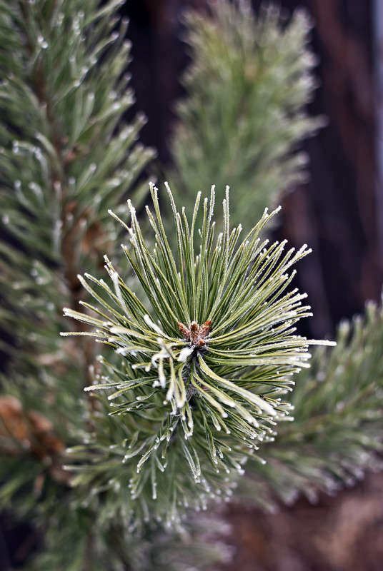 ������� ����� ����� ������� �� PhotoGeek.ru #������ ��� �������