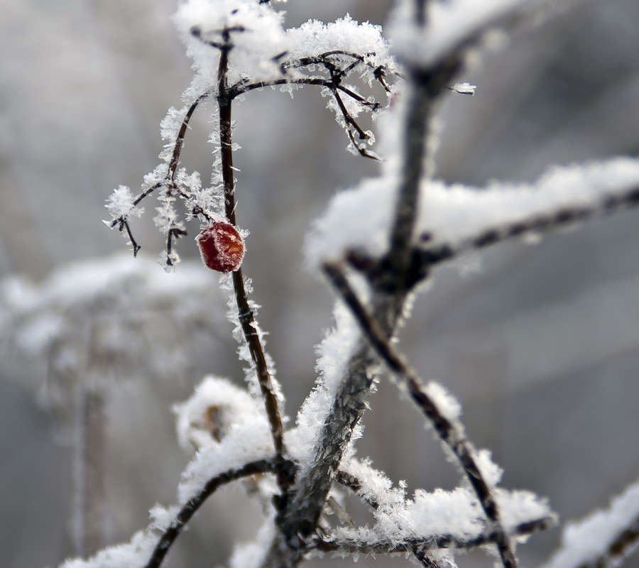 ��� �� ������ ����� ����� ����� ������� �� PhotoGeek.ru #������ ��� �������