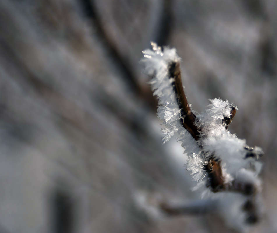 ��� �� ������ ����� ����� ����� ������� �� PhotoGeek.ru #������ ��� �������