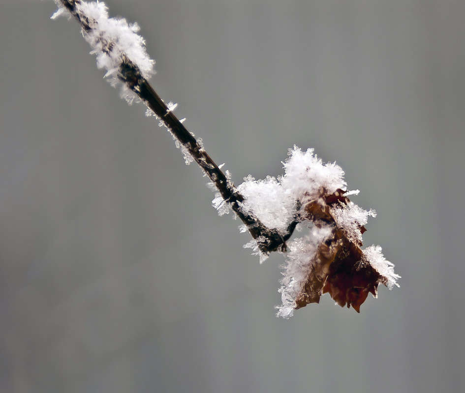 ����� ����� ����� ������� �� PhotoGeek.ru #������ ��� �������