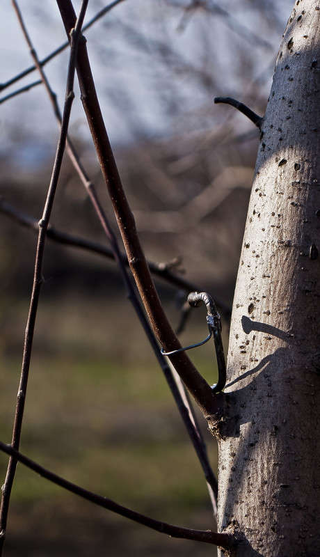 ������� ������� ����� ����� ������� �� PhotoGeek.ru #������ ��� �������