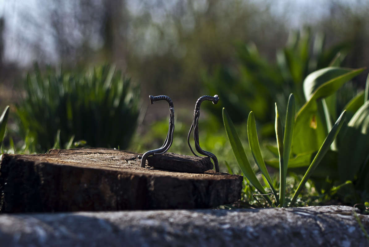 ���������� ����� ����� ������� �� PhotoGeek.ru #�����