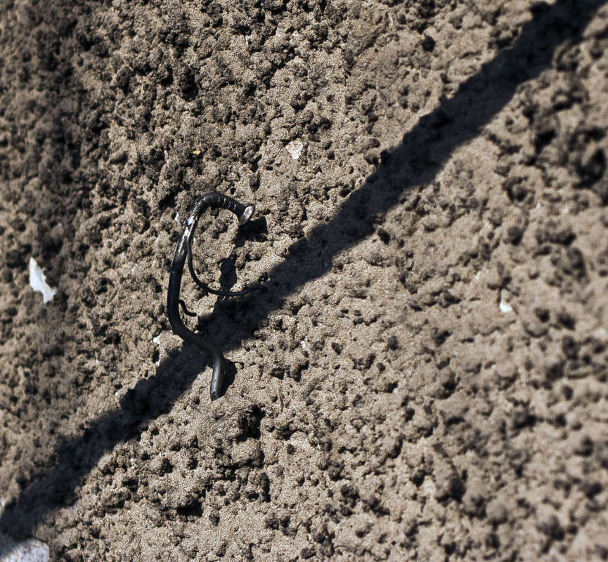 �������� ����� ����� ������� �� PhotoGeek.ru #�����