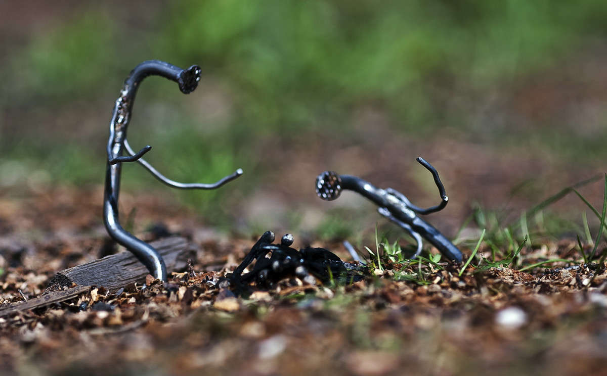 �� ����� ����� ����� ������� �� PhotoGeek.ru #�����