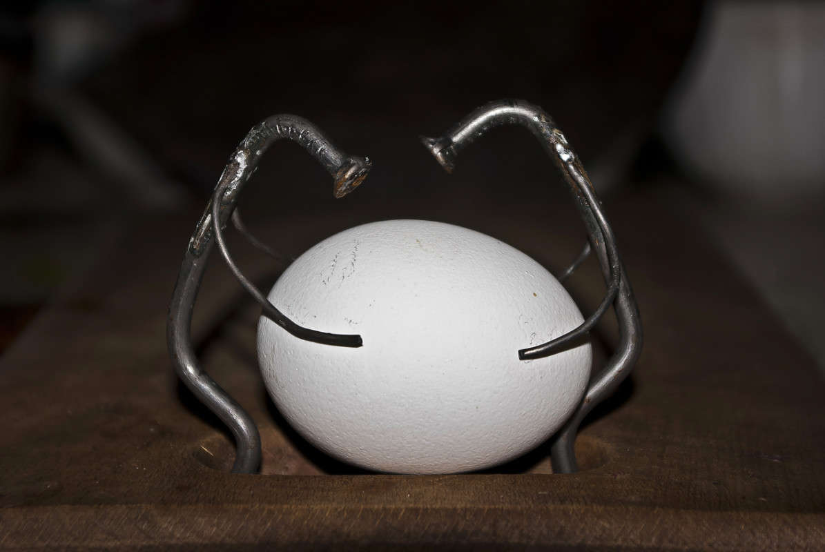 ��� ������ �����? ����� ����� ������� �� PhotoGeek.ru #�����