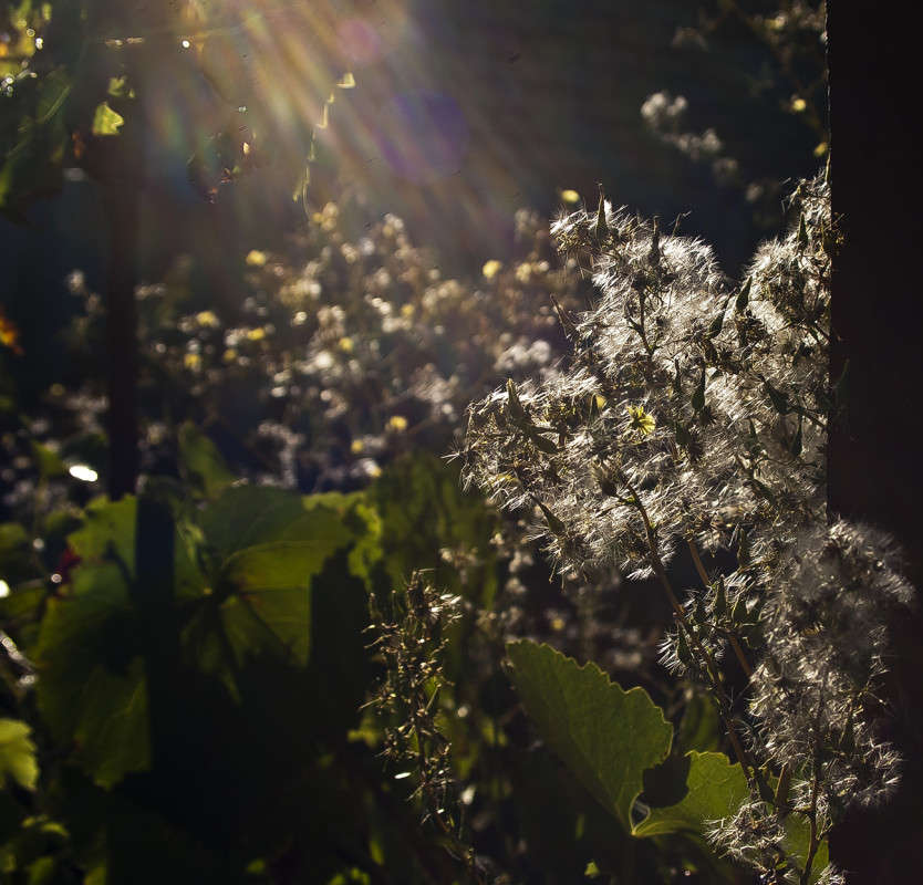 ����������� ����� ����� ������� �� PhotoGeek.ru #������ ��� �������