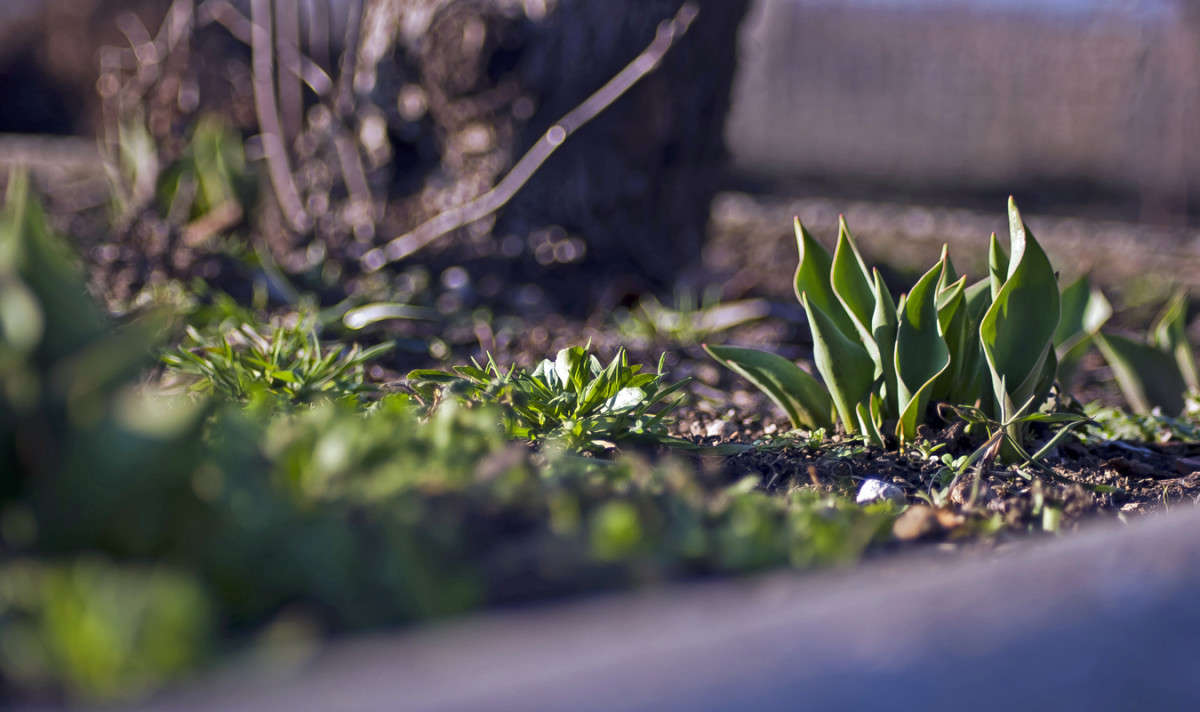 ��������..... ����� ����� ������� �� PhotoGeek.ru #������ ��� �������