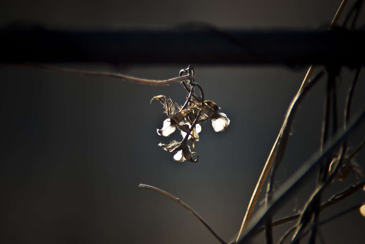 ������ ����� ����� ������� �� PhotoGeek.ru #������ ��� �������