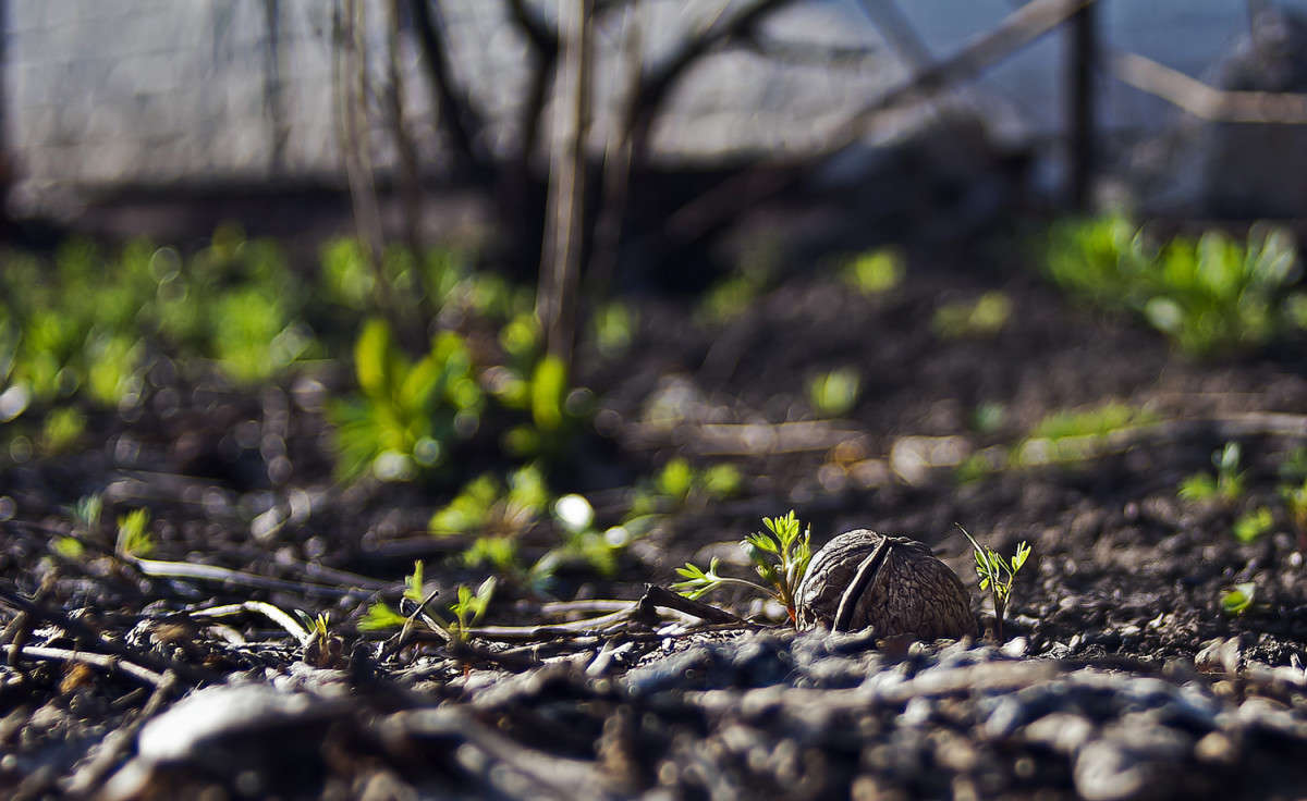 ��������.... ����� ����� ������� �� PhotoGeek.ru #������ ��� �������