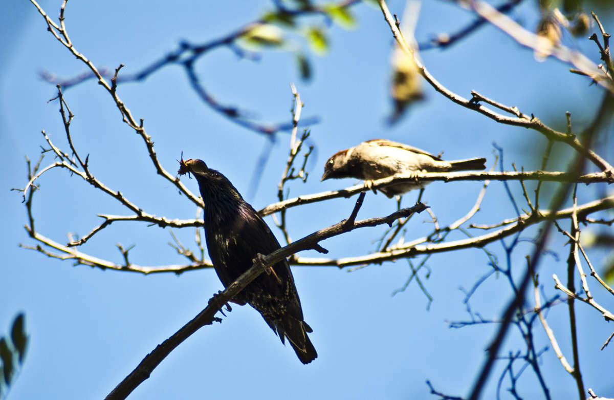 ���������� ���� ��������� ����� ����� ������� �� PhotoGeek.ru #�������� ���