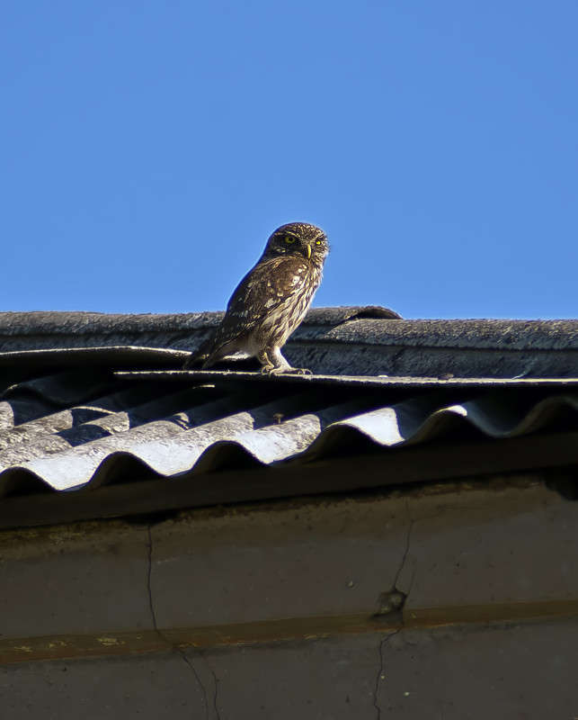 ��������� ����� ����� ������� �� PhotoGeek.ru #�������� ���