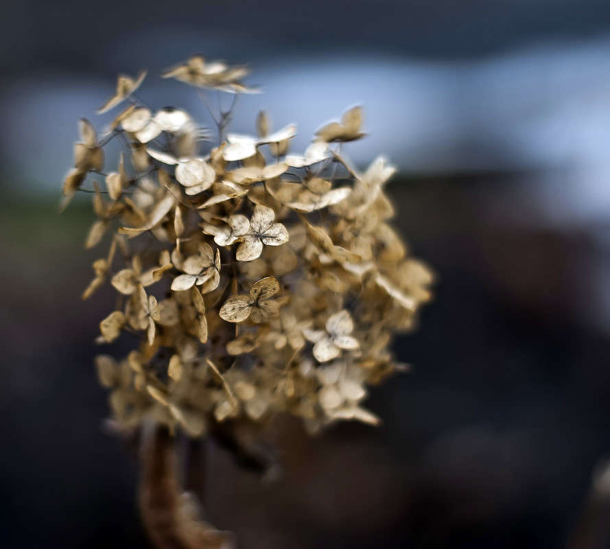 ������ ����� ����� ������� �� PhotoGeek.ru #�����