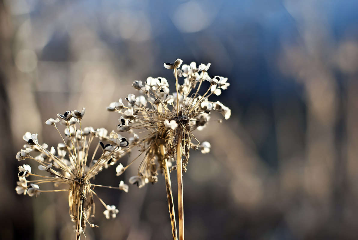 ������ ����� ����� ������� �� PhotoGeek.ru #�����