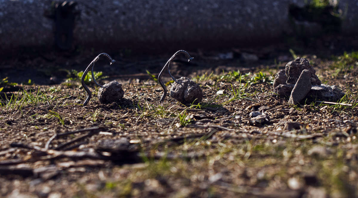 ��������� ����� ����� ������� �� PhotoGeek.ru #�����