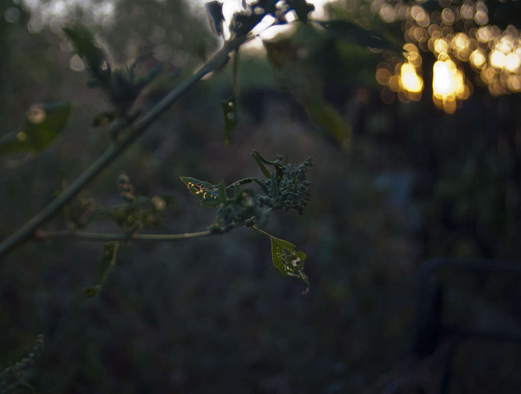 �� ������ ��������� � ������... ����� ����� ������� �� PhotoGeek.ru #������ ��� �������