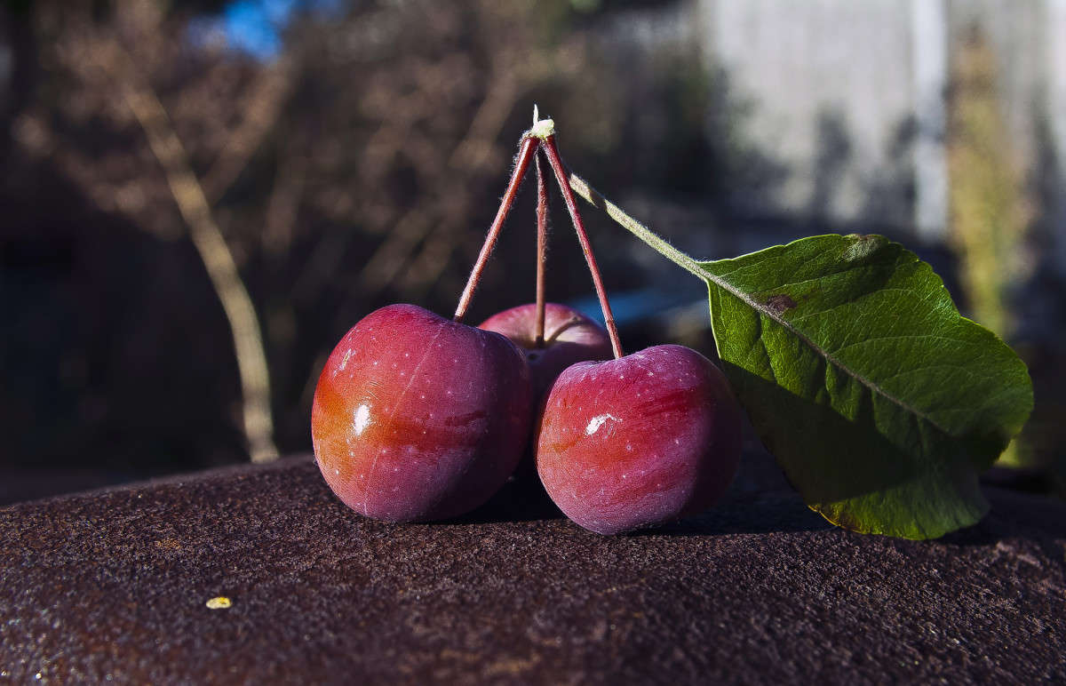 � ��� � ���� ���������... ����� ����� ������� �� PhotoGeek.ru #������ ��� �������