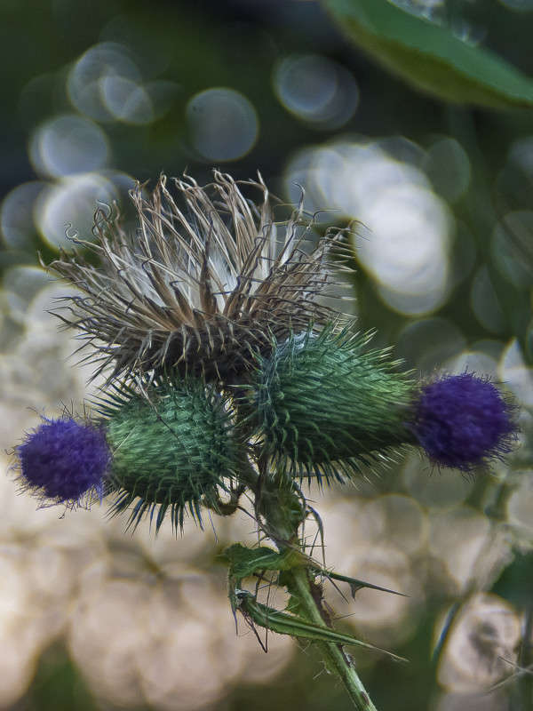 ���� ���� ����� ����� ����� ������� �� PhotoGeek.ru #�����