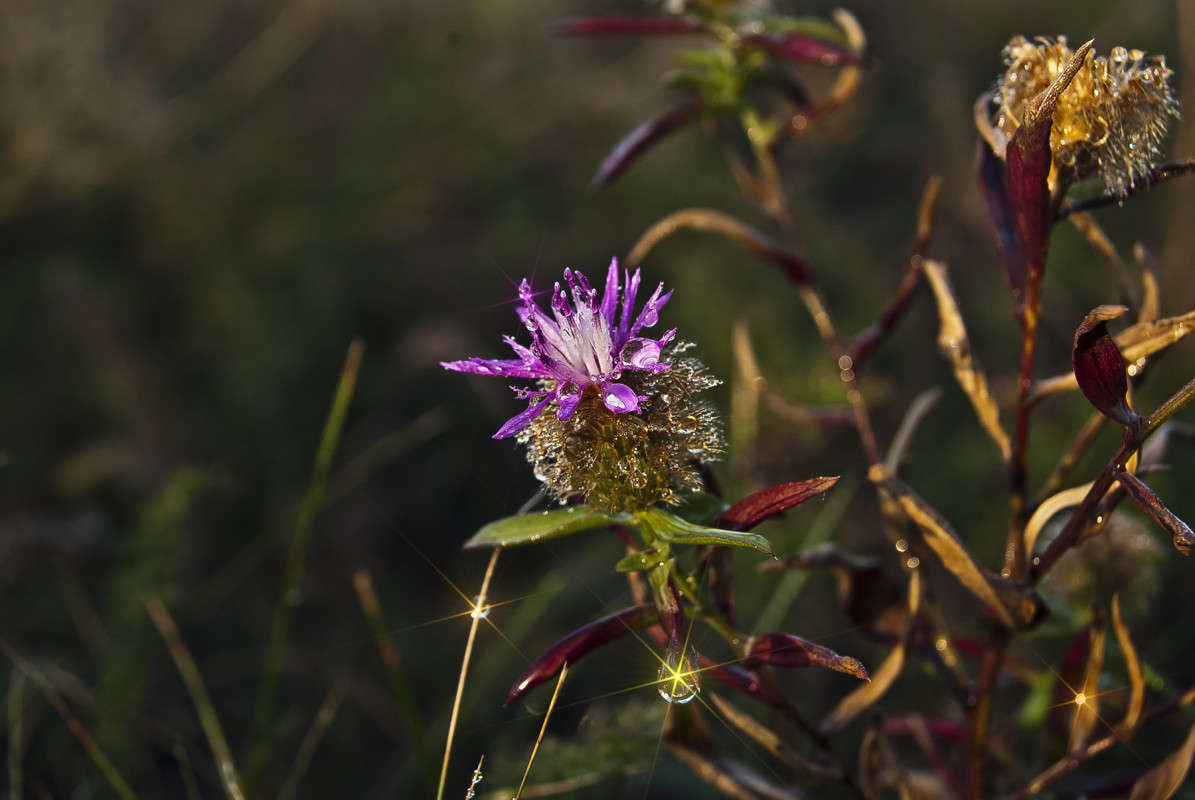 ���� ���� ����� ����� ����� ������� �� PhotoGeek.ru #�����