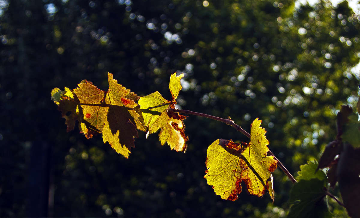 �� ����� ����������� � �����... ����� ����� ������� �� PhotoGeek.ru #������ ��� �������