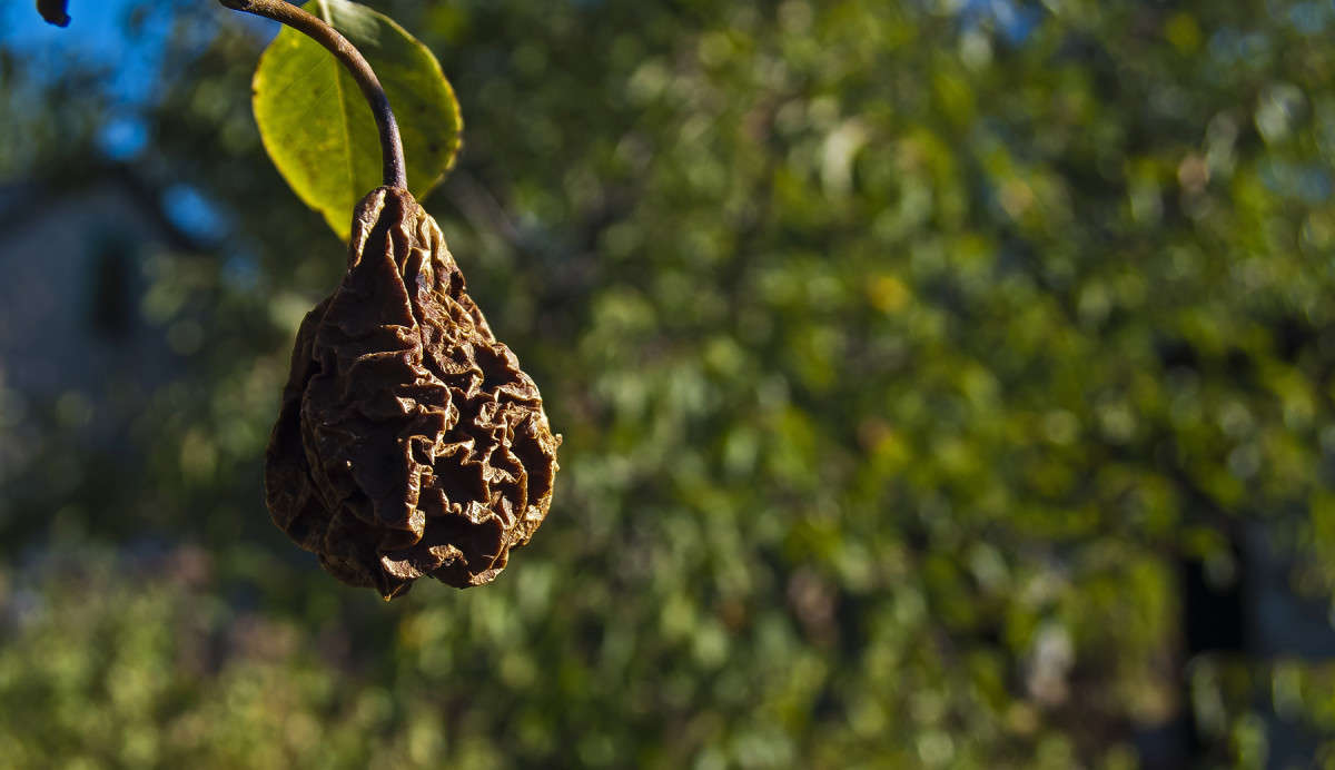 ����� ������� ����� ����� ������� �� PhotoGeek.ru #������ ��� �������