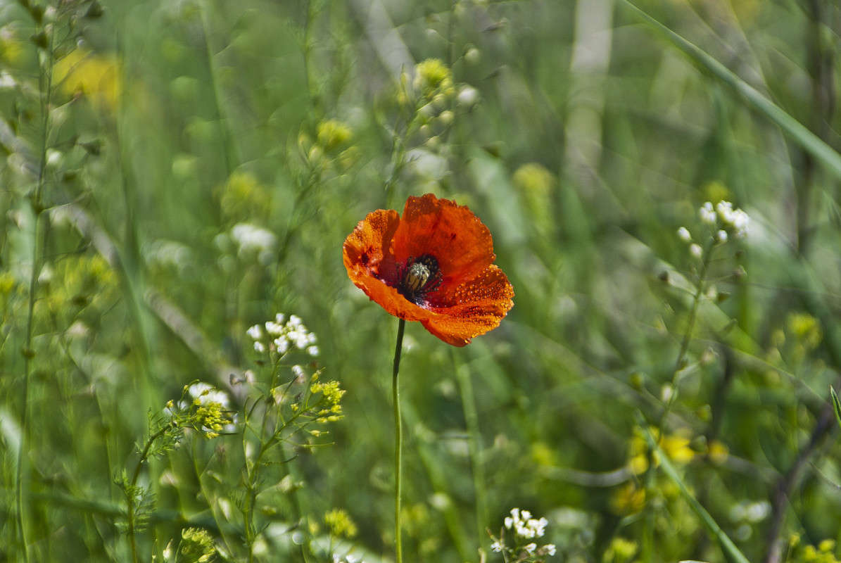 ���� ���� ����� ����� ����� ������� �� PhotoGeek.ru #����� #������ ��� �������