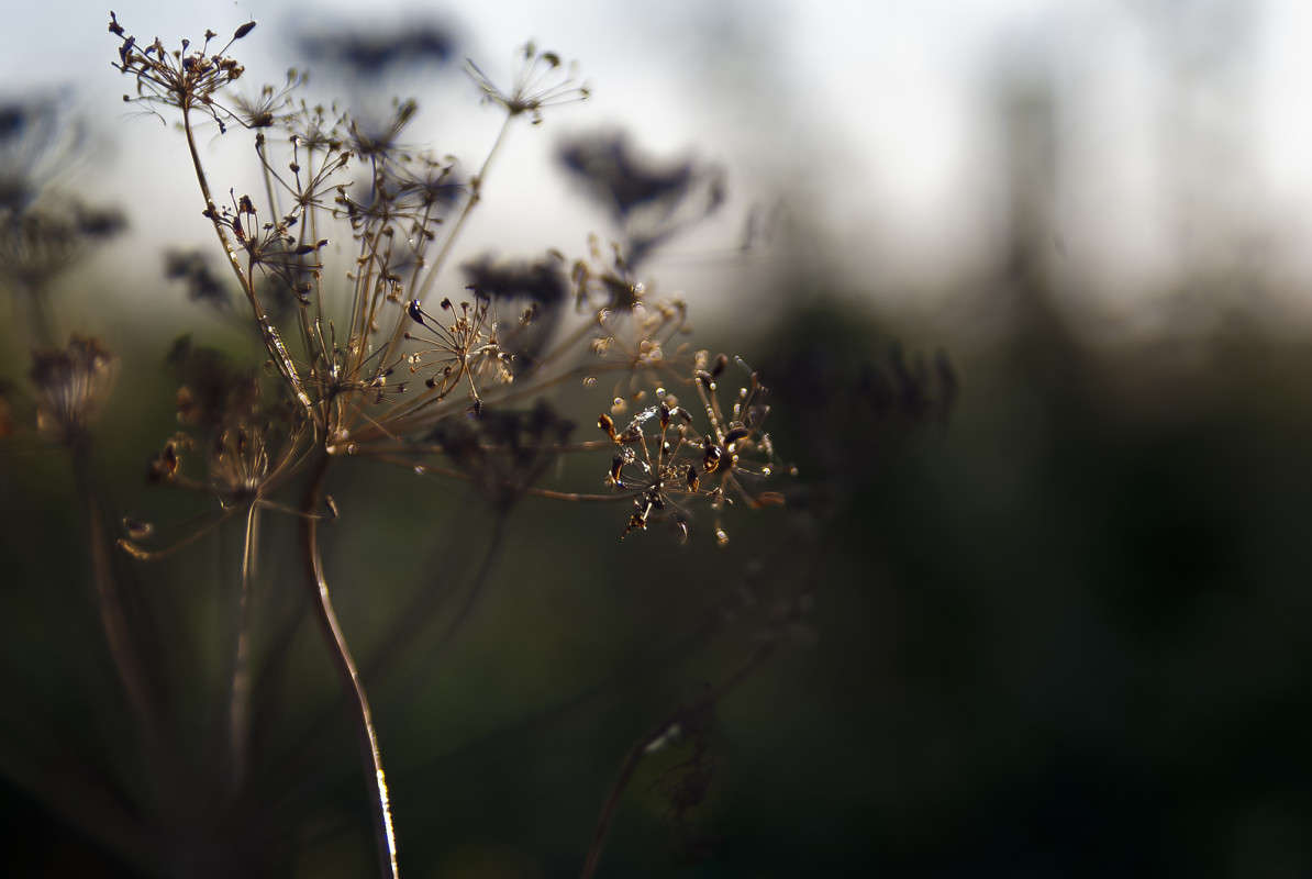 ������ ����� ����� ����� ������� �� PhotoGeek.ru #������ ��� �������