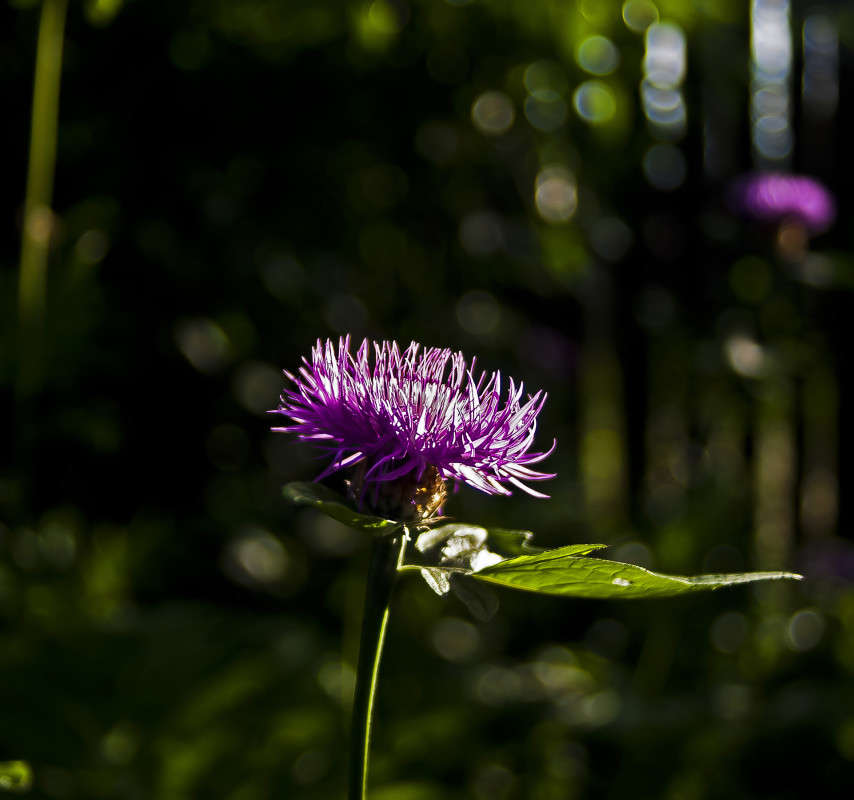 ���� ���� ����� ����� ����� ������� �� PhotoGeek.ru #������ ��� �������