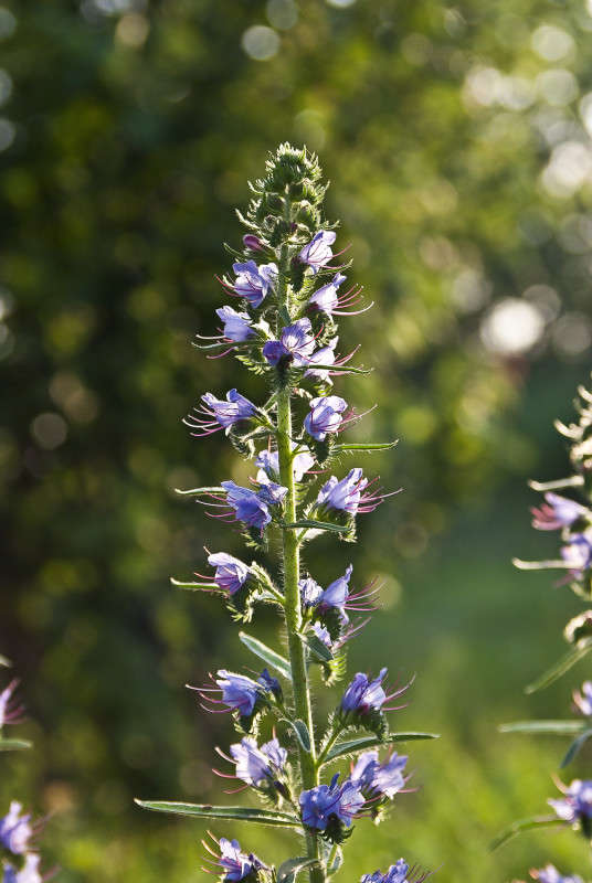 ���� ���� ����� ����� ����� ������� �� PhotoGeek.ru #������ ��� �������