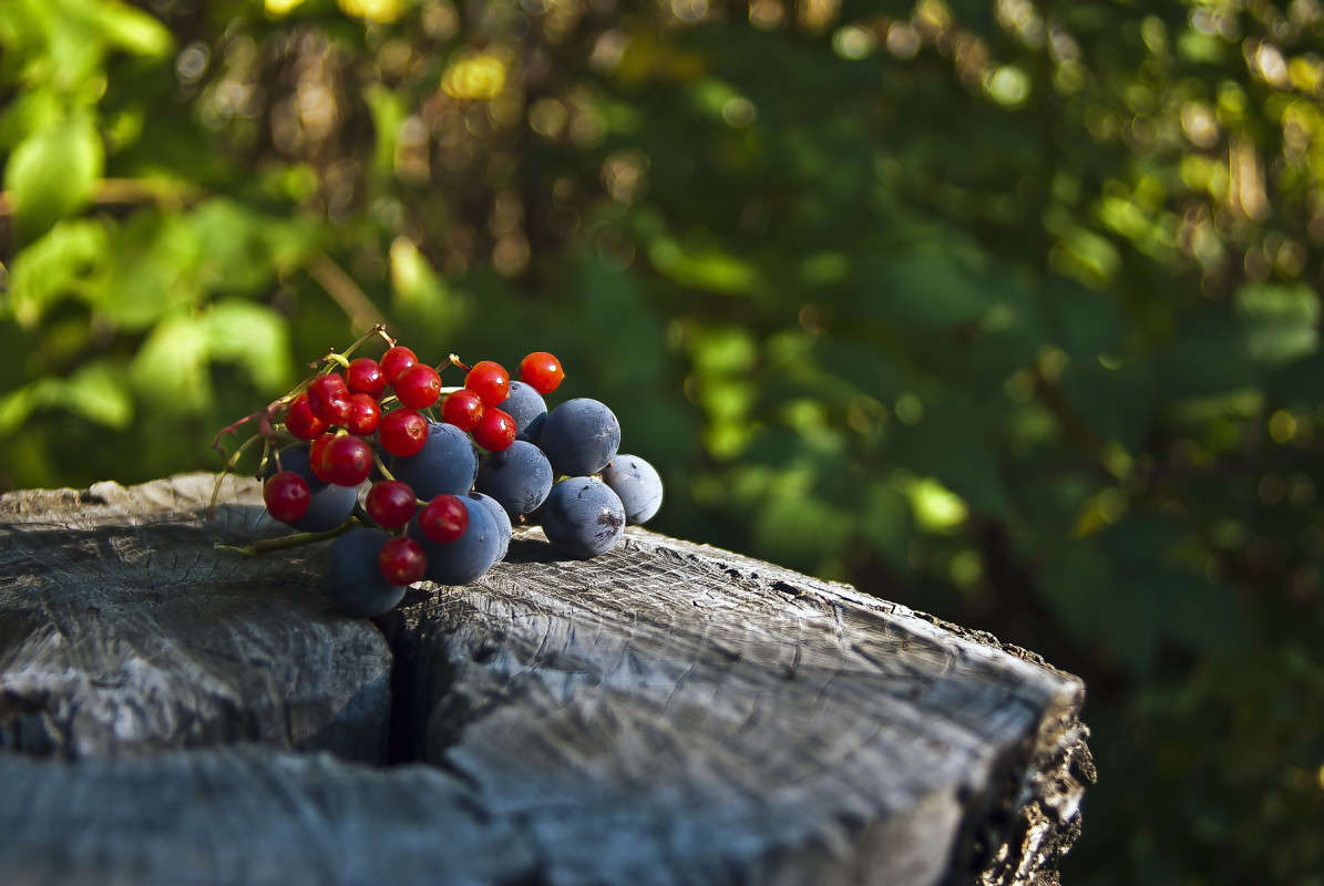 ��� � ����� �� ������ ����� ����� ������� �� PhotoGeek.ru #����� #������ ��� �������