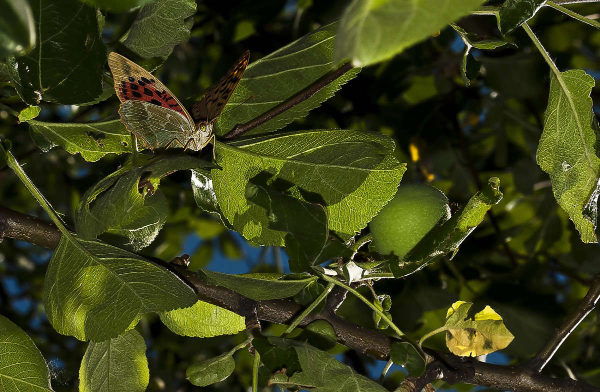 ��������� �� ���� ����� ����� ������� �� PhotoGeek.ru #�������� ���