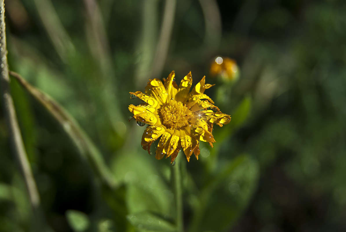 ����������� ����� ����� ����� ������� �� PhotoGeek.ru #�����