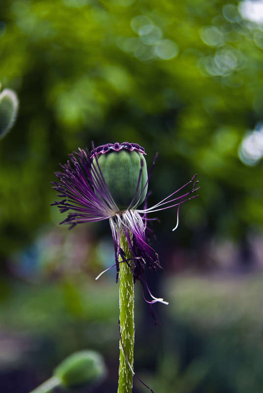 ����� ������� ����� ����� ������� �� PhotoGeek.ru #�����