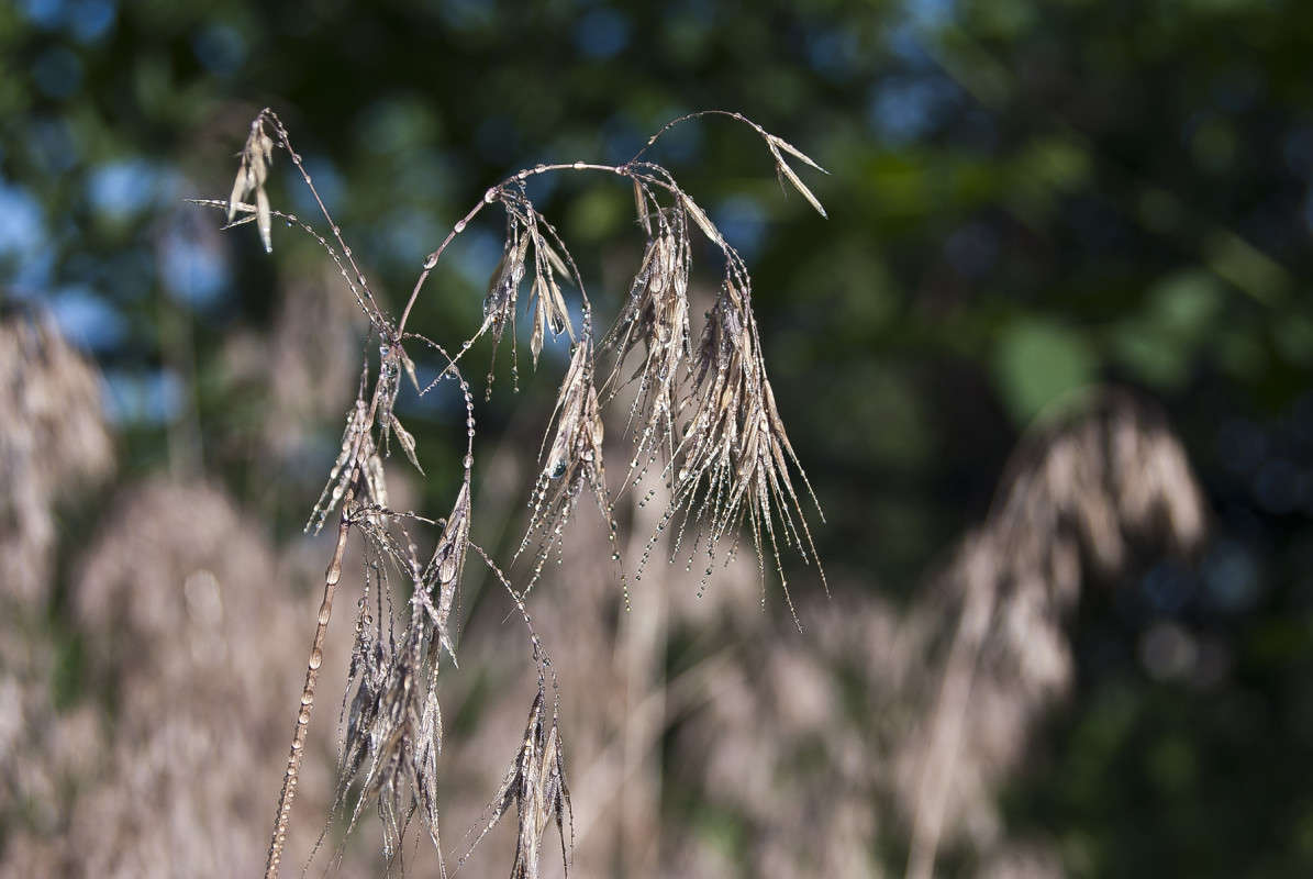 ����������� ����� ����� ����� ������� �� PhotoGeek.ru #������ ��� �������