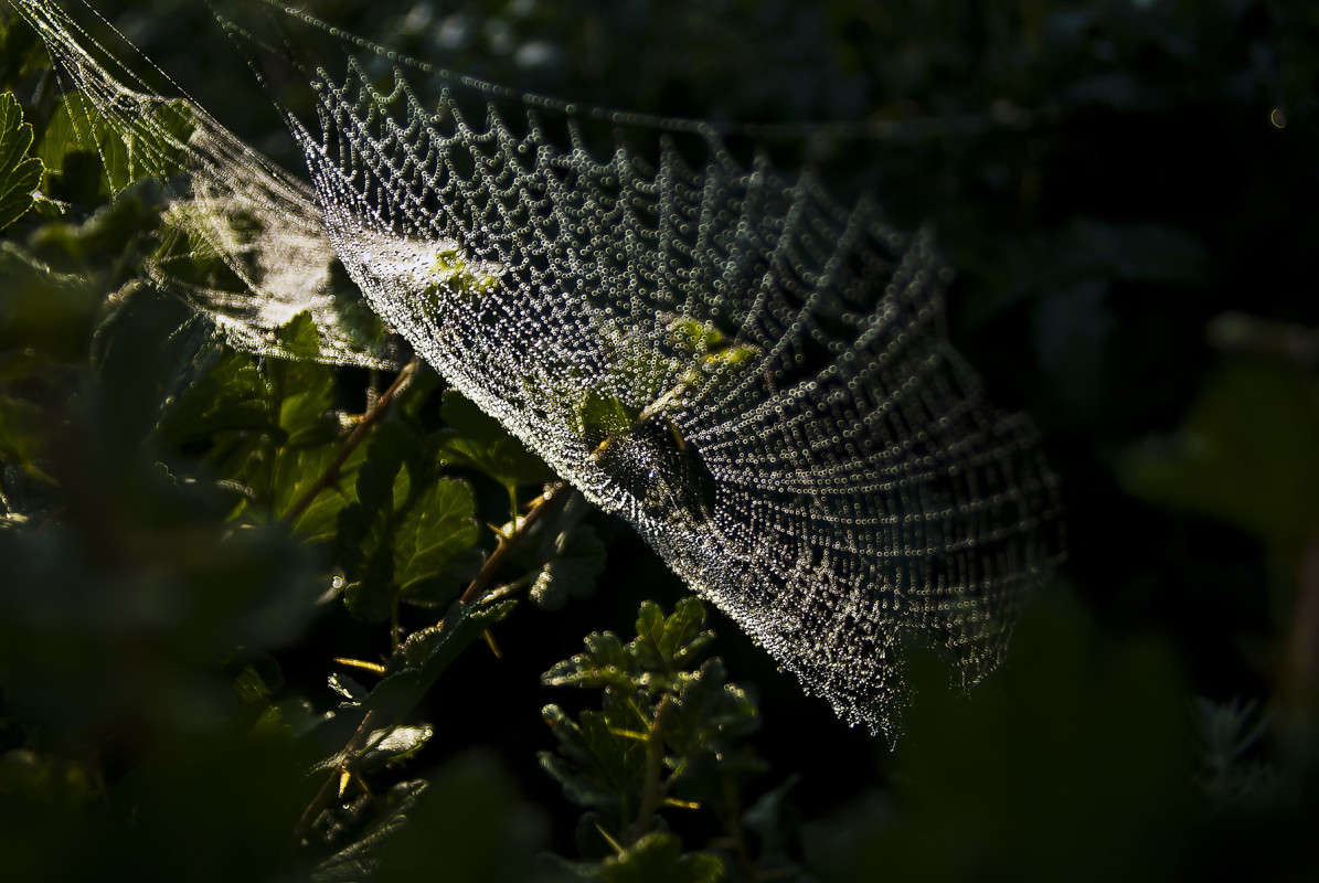 �������� ����� ����� ����� ������� �� PhotoGeek.ru #������ ��� �������