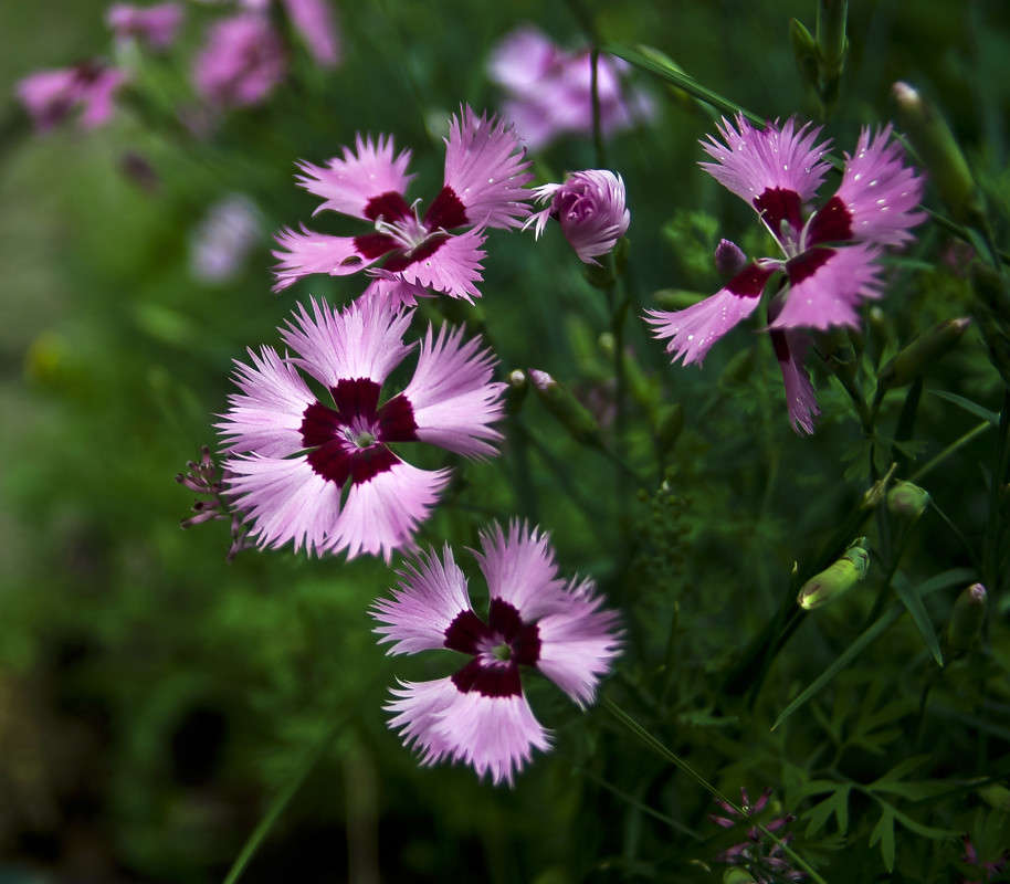 ���� ���� ����� ����� ����� ������� �� PhotoGeek.ru #������ ��� �������