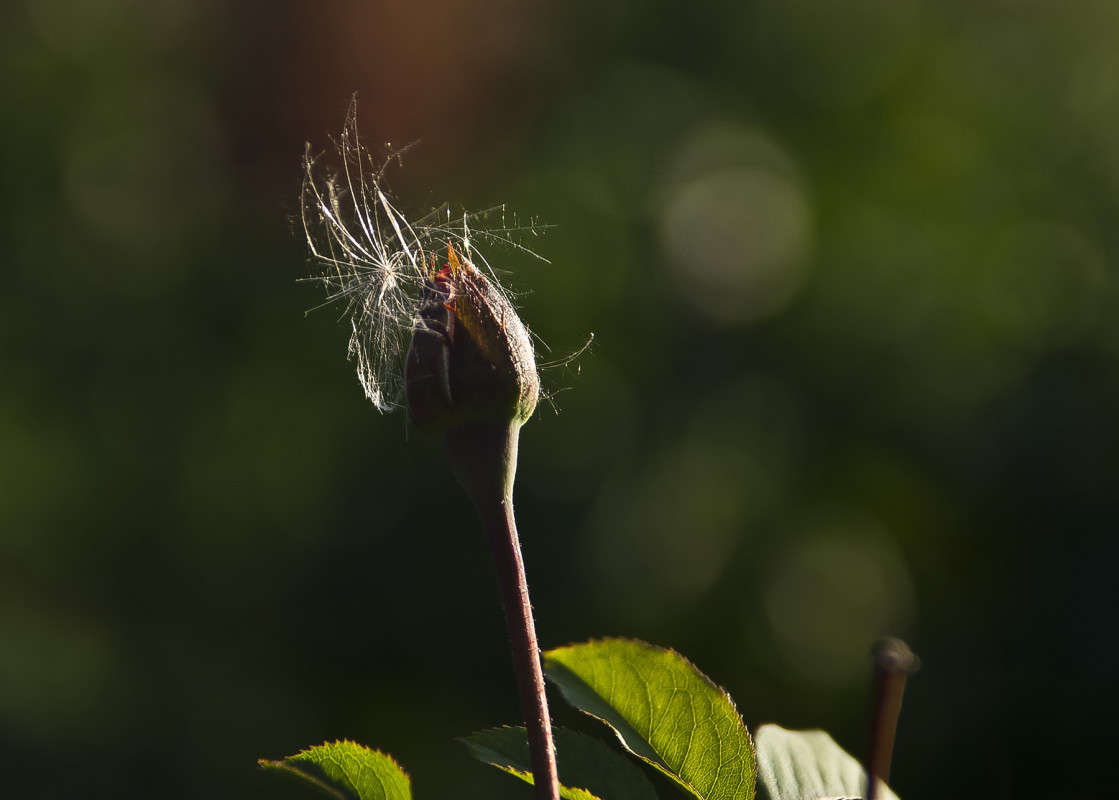 ������������ ����� ����� ������� �� PhotoGeek.ru #�����