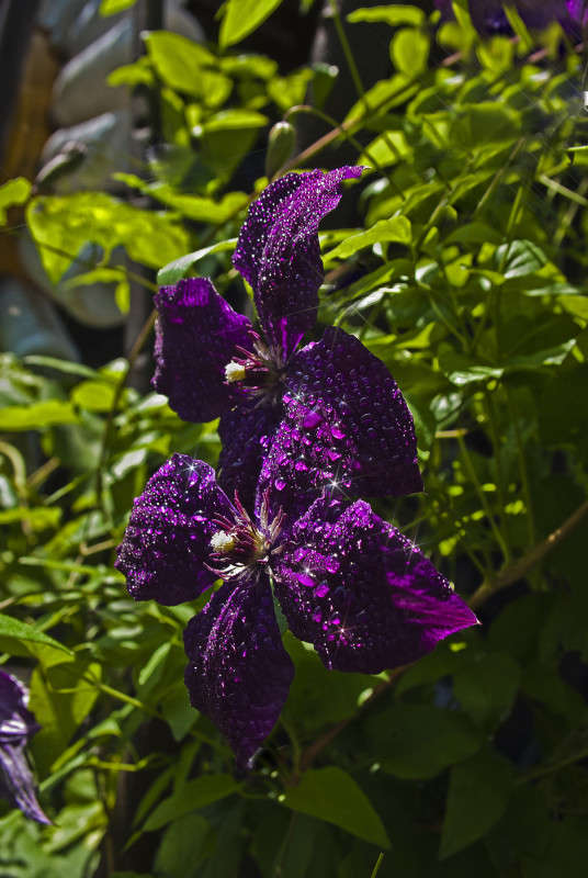 ����������� ����� ����� ����� ������� �� PhotoGeek.ru #������ ��� �������