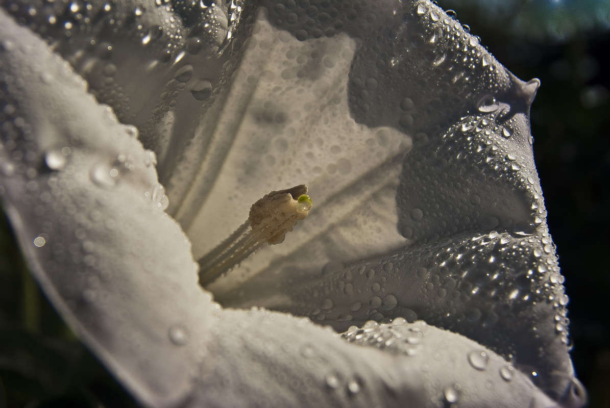 ����������� ����� ����� ����� ������� �� PhotoGeek.ru #�����