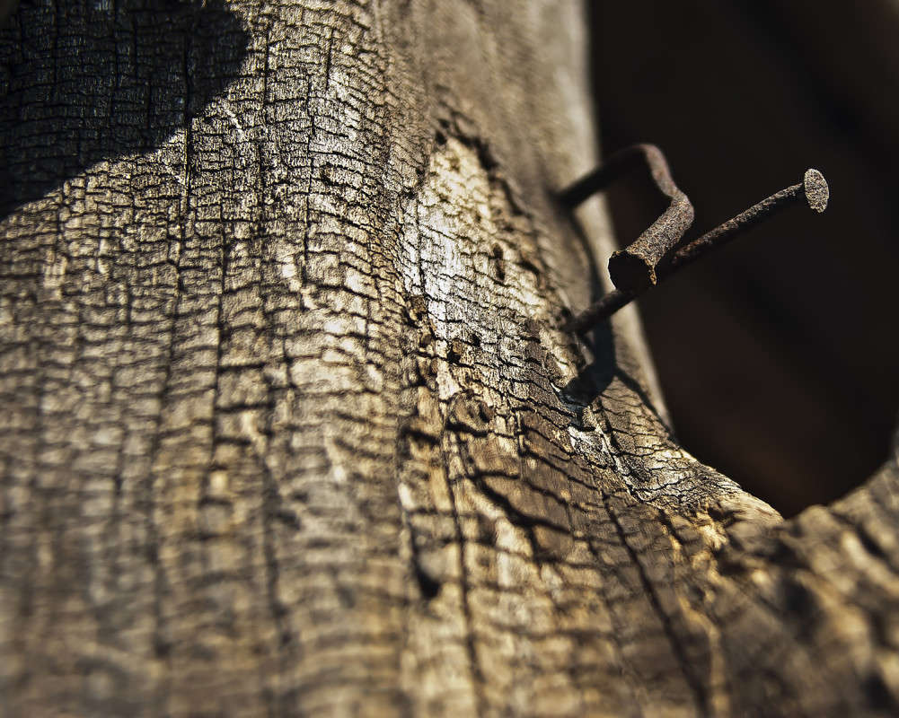 ���������� ����� ����� ������� �� PhotoGeek.ru #�����