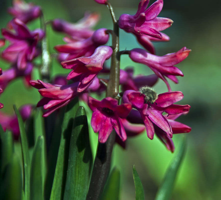 ���� ���� ����� ����� ����� ������� �� PhotoGeek.ru #������ ��� �������