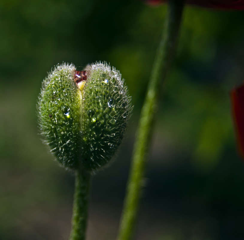 ����������� ����� ����� ����� ������� �� PhotoGeek.ru #�����