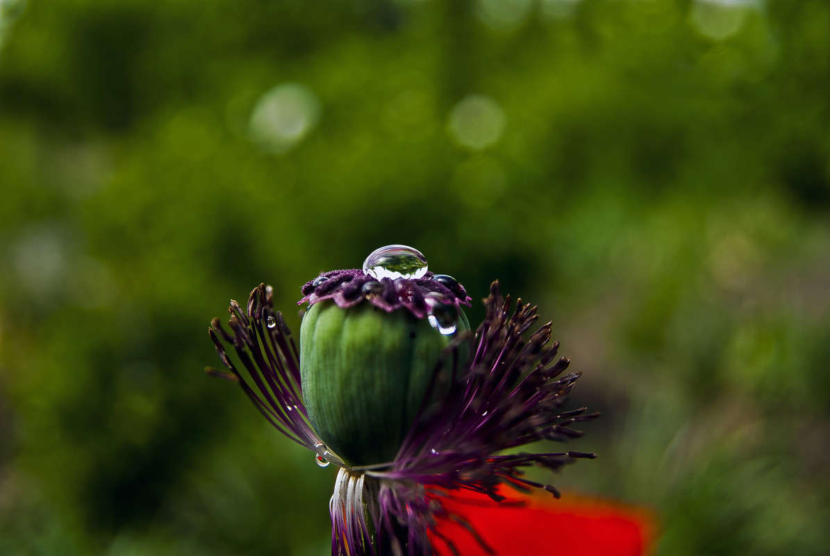 ����������� ����� ����� ����� ������� �� PhotoGeek.ru #�����