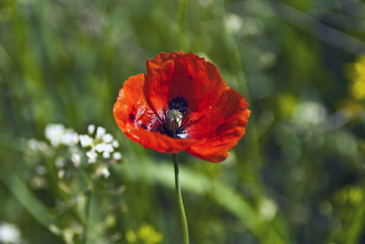 ���� ���� ����� ����� ����� ������� �� PhotoGeek.ru #�����